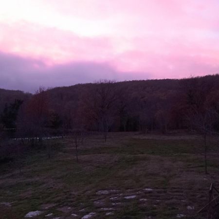B&B Casale Ormano San Venanzo Luaran gambar
