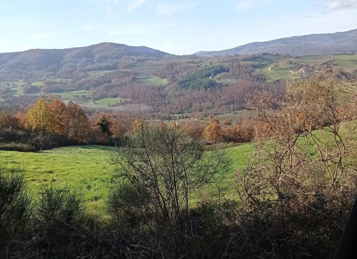 B&B Casale Ormano San Venanzo Luaran gambar